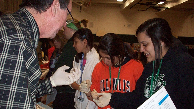 Students examine brain samples